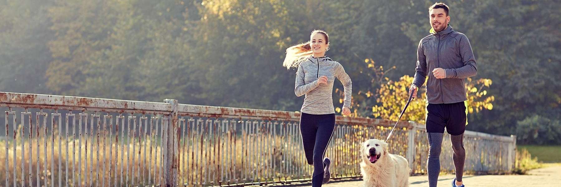 blacktown man and woman jogging through a park with their dog